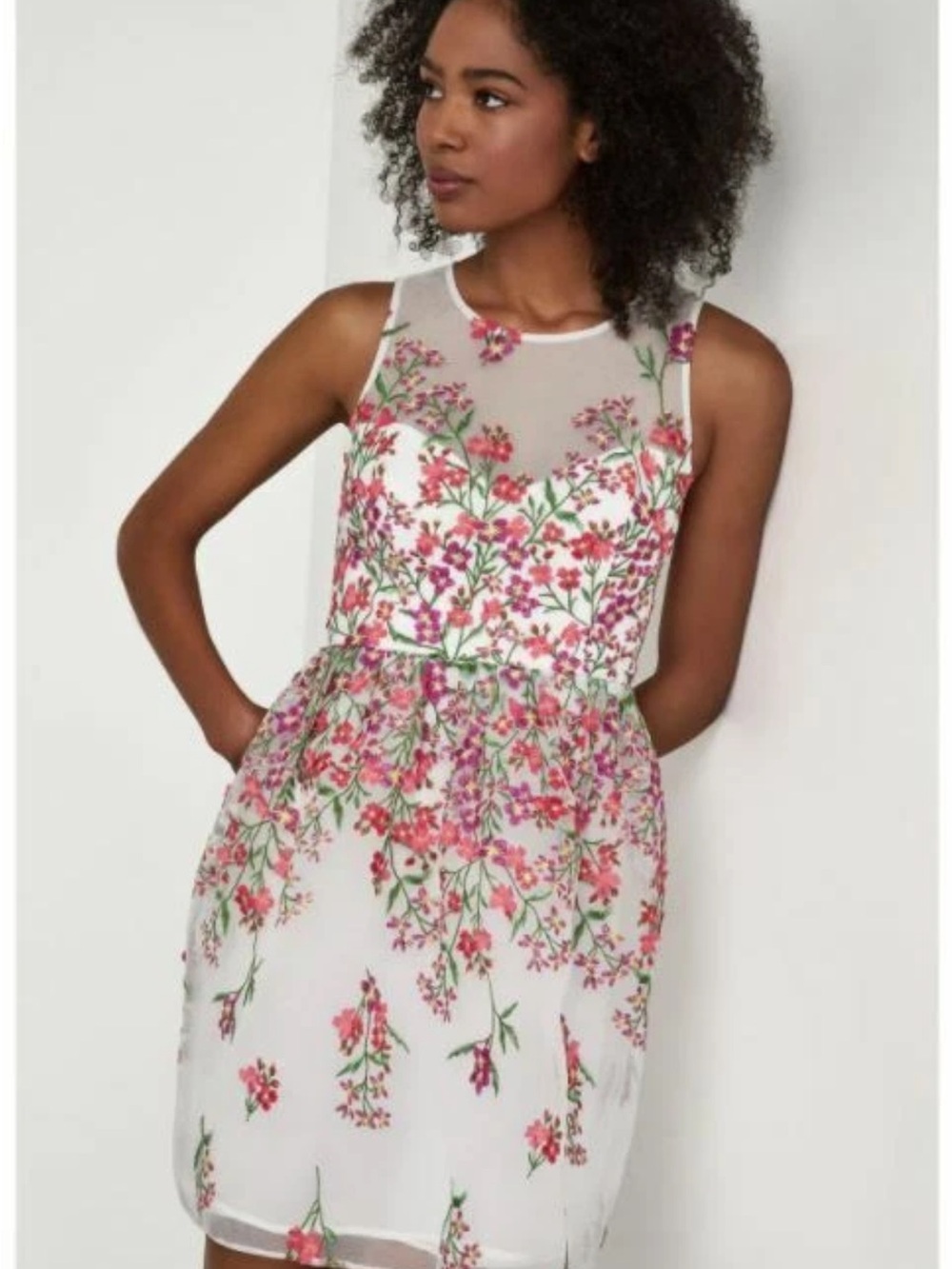 BCBGMAXAZRIA Gardenia Floral-Embroidered Illusion Tulle Dress Size 10 Like New